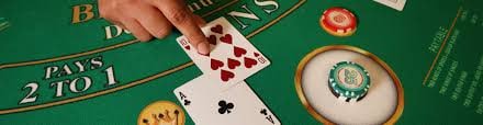 bet97988 bet97988